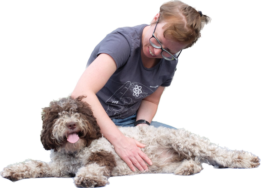 dog during gasa massage